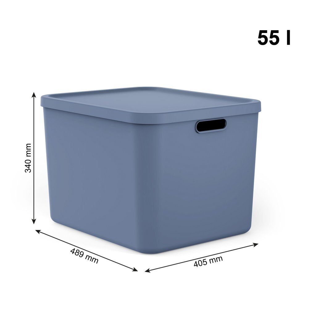 Rotho albula multibox 55l bleu
