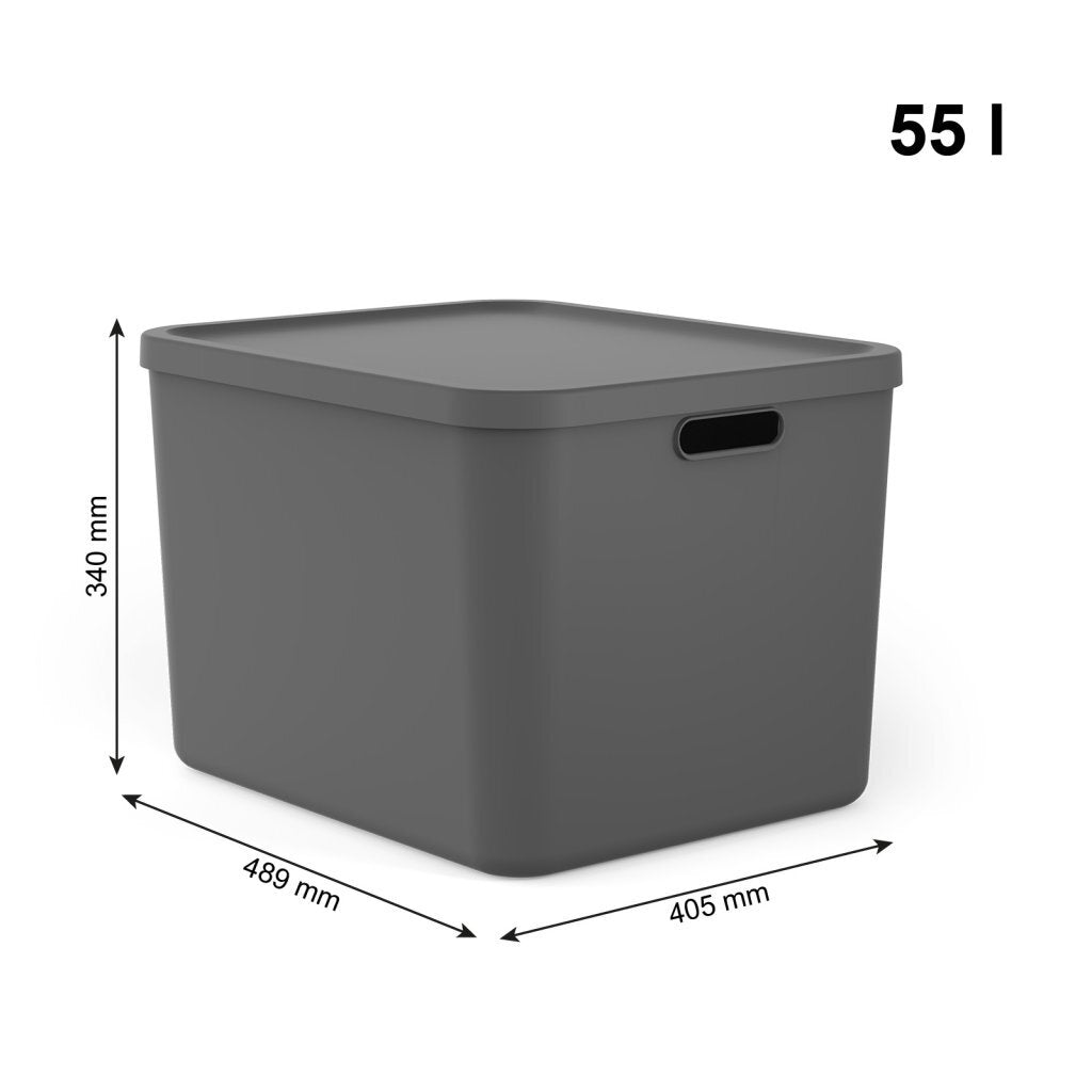 Rotho albula multibox 55l anthracite