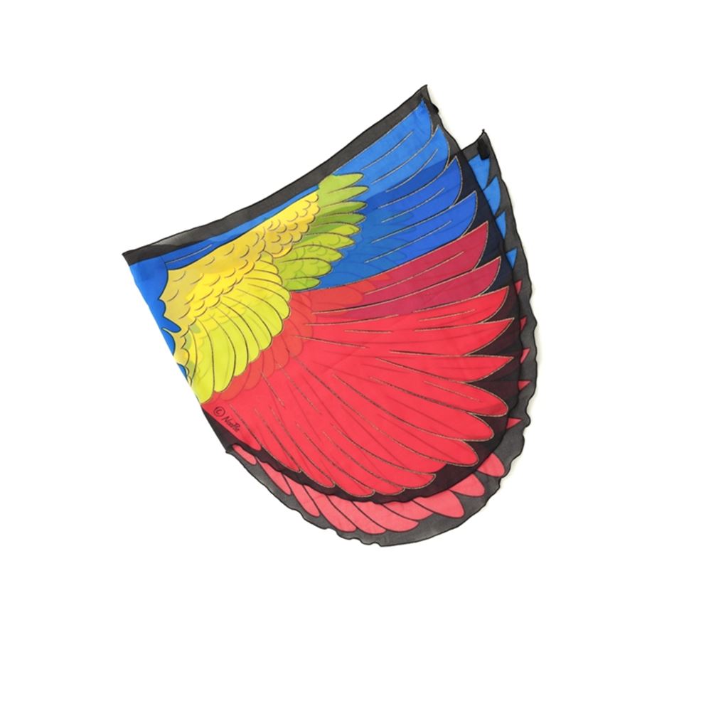 Ailes d'oiseau colorées