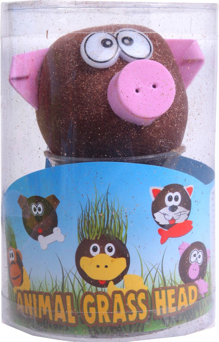 Prenez soin des animaux d'amis de l'herbe