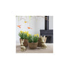 Countryfield plante artificielle narcisse jaune l10w10h21cm