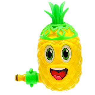 Assorties d'ananas de pulvérisateur