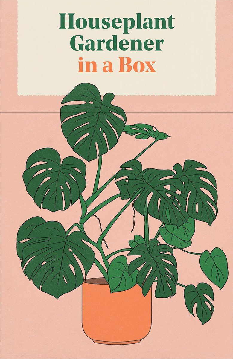 Jardinier de plantes d'intérieur dans une boîte