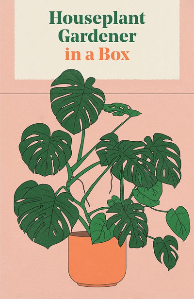 Jardinier de plantes d'intérieur dans une boîte
