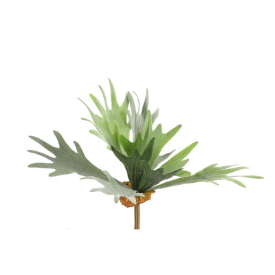 Countryfield plante artificielle platycerium vert 10xh63,5cm