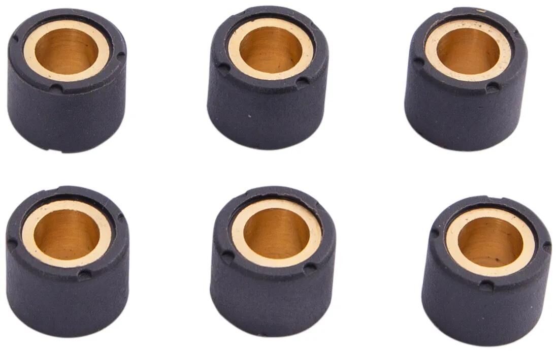 Jeu de noyaux de rouleaux de poids variomatic Spec-x 17 x 13,5 mm, 8,4 g, 6 pcs.