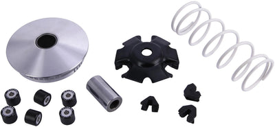 Variateur multivar Malossi