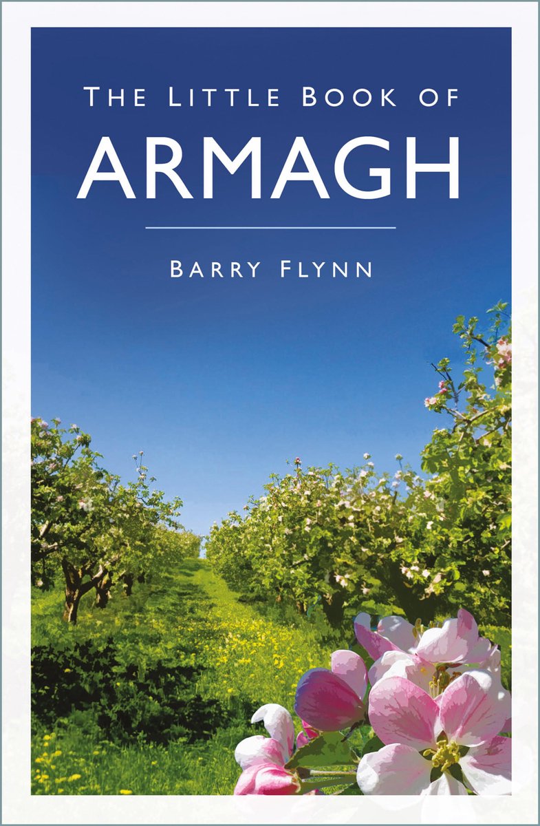 Petit livre de - le petit livre d'Armagh