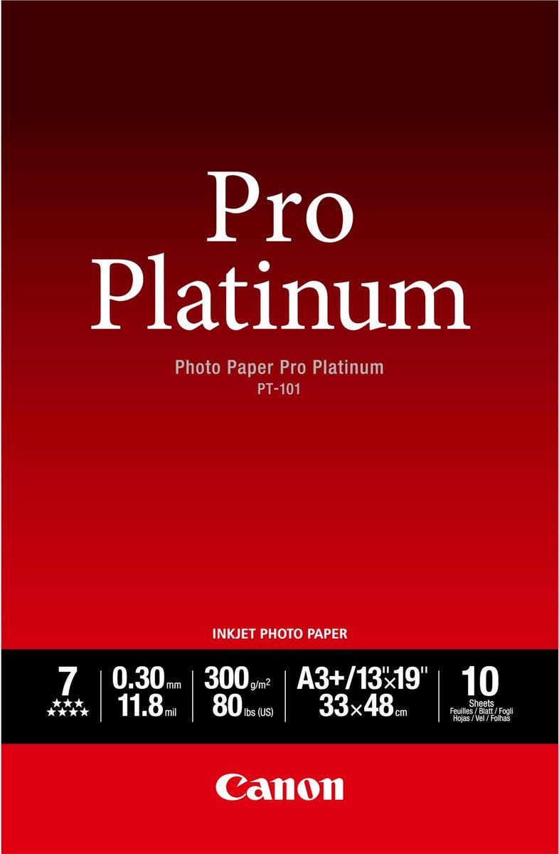 Canon pt-101 pro platine papier photo - a3 10 feuilles