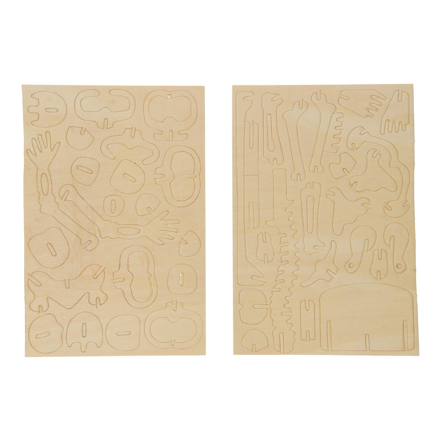 Kit de construction en bois - squelette