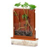 Expériences Planting Doolhof, 21dlg.