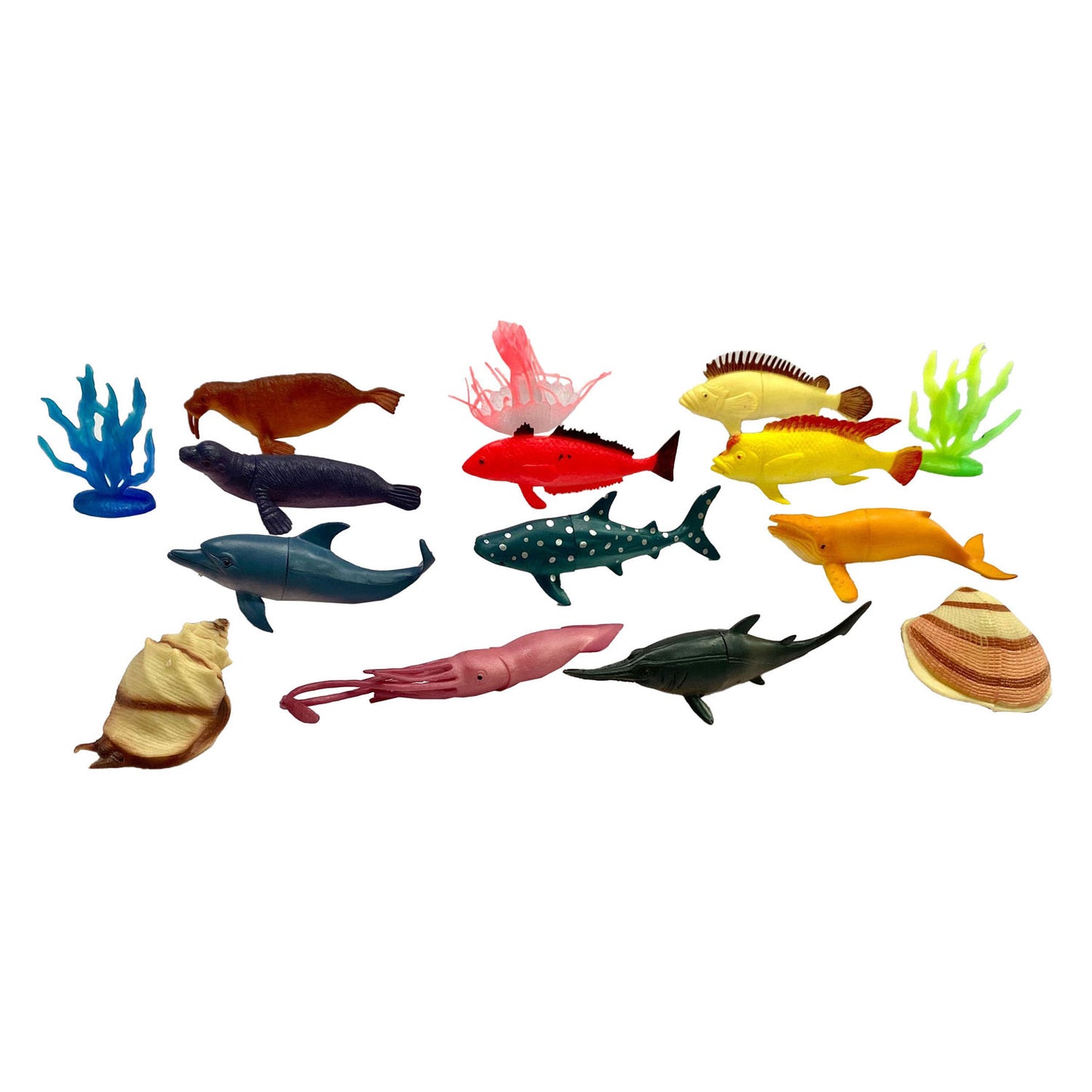 Animaux marins, 11e.