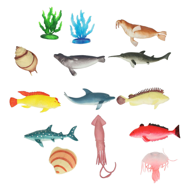 Animaux marins, 11e.