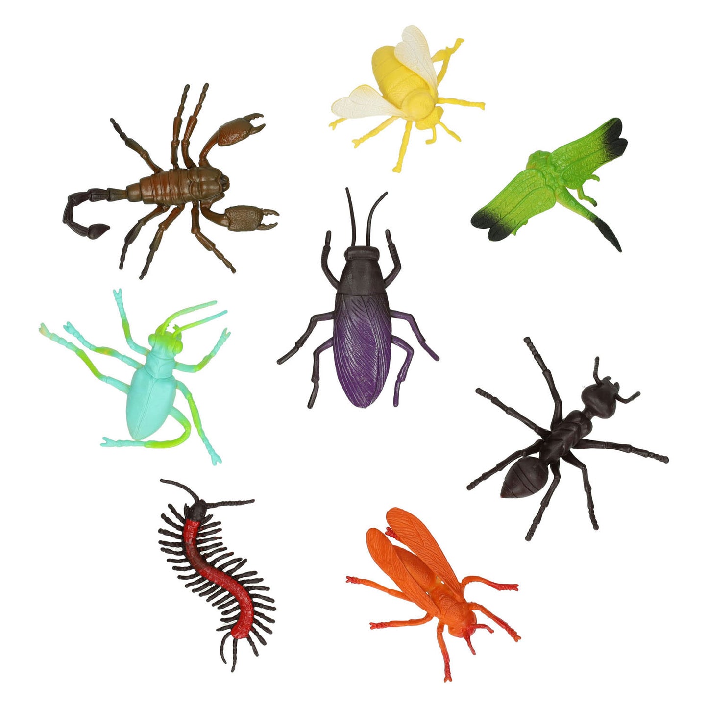 Insectes, 8e.