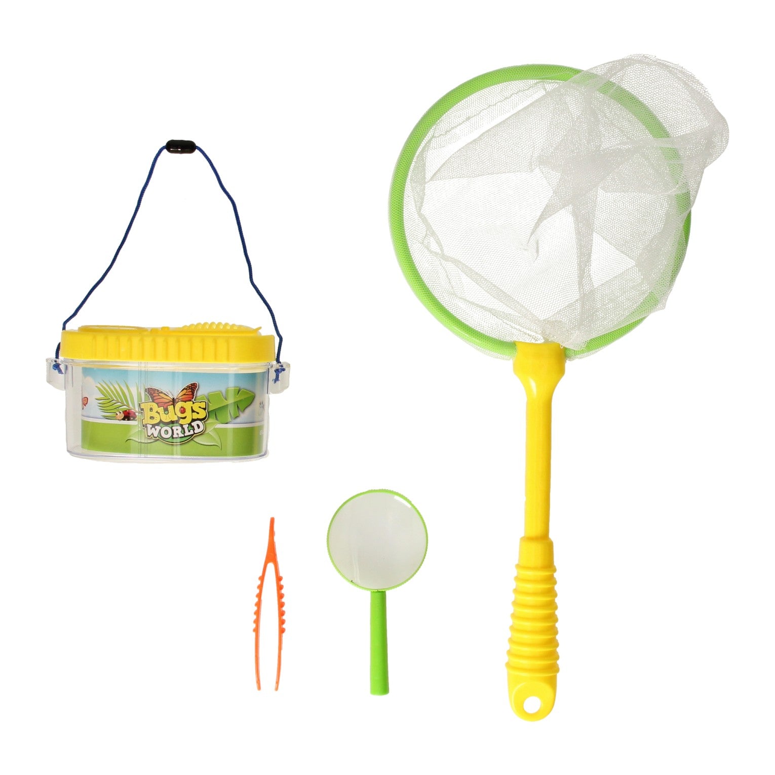 Ensemble de capture du monde des insectes, pot d'observation et loupe