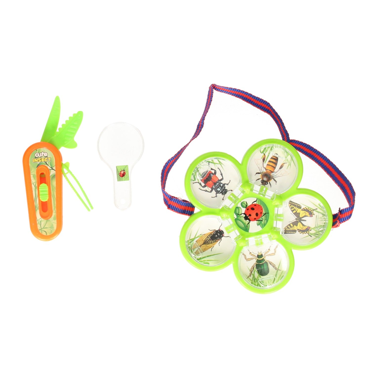 Bugs World Ensemble d’insectes
