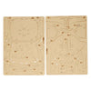 Kit de construction en bois dinosaure ptérosaure 3D
