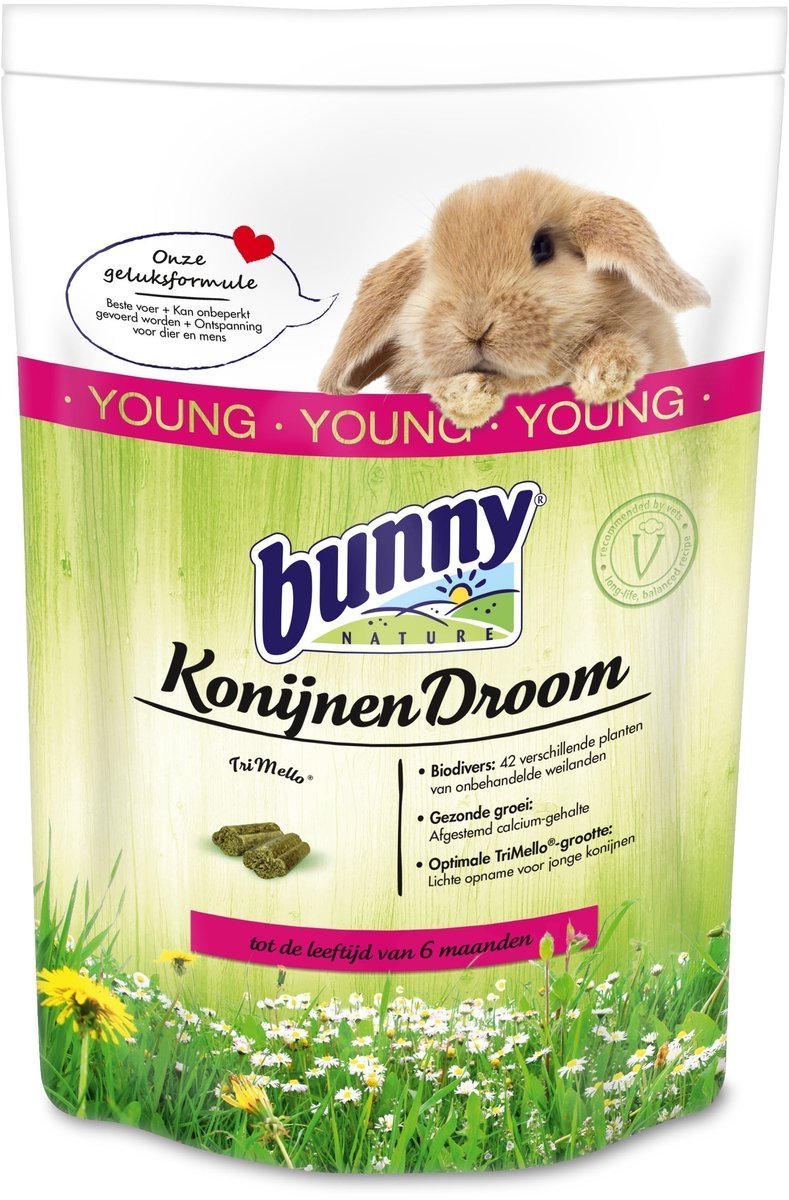 Bunny Nature Rabbit Dream Young