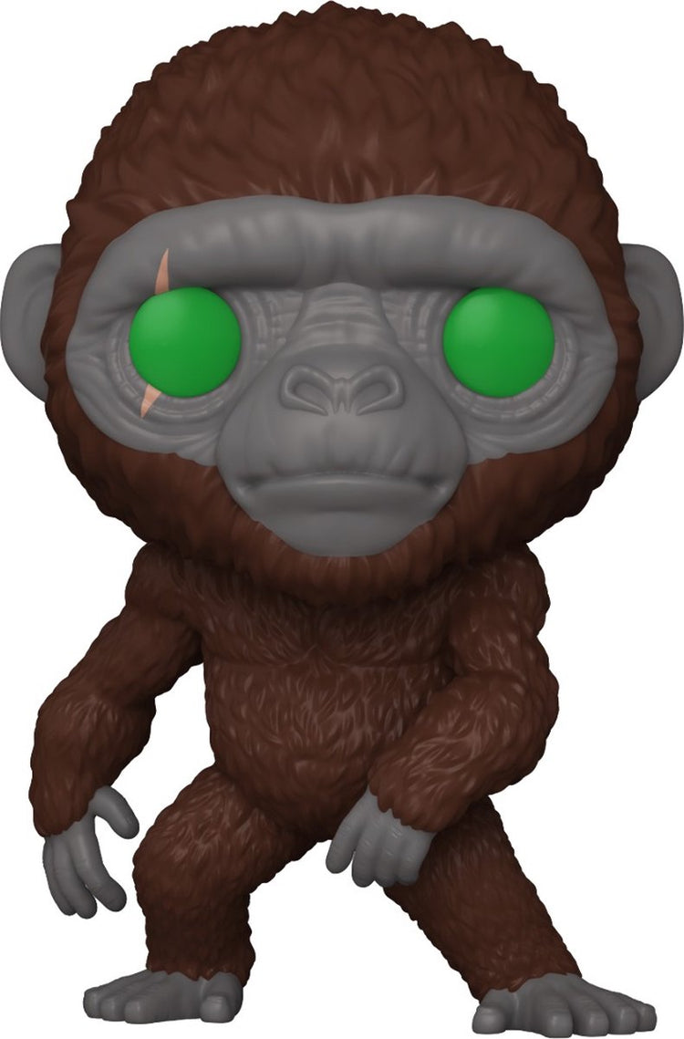 funko godzilla contre Kong le nouvel empire - Suko Vinyl Figure 1543 Unisexe Pop! - multicolore - standard