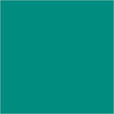 Argile Silk ®, verte, 650 gr 1 seau - afbeelding 2