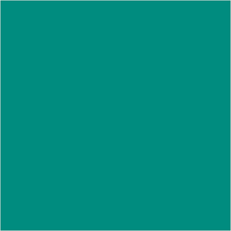 Argile Silk ®, verte, 650 gr 1 seau