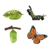 Cycplus Life Cycle Butterfly Play Sigle