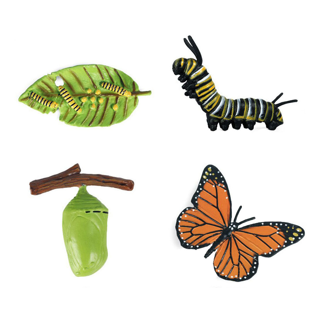 Cycplus Life Cycle Butterfly Play Sigle
