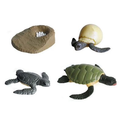 Cycplus Life Cycle Turtle Play Sigle