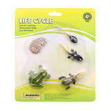 Cycplus Life Cycle Frog Play Figing Set - afbeelding 2