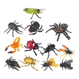 Insectes, 6e - afbeelding 2