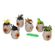 Projecteur d'insectes