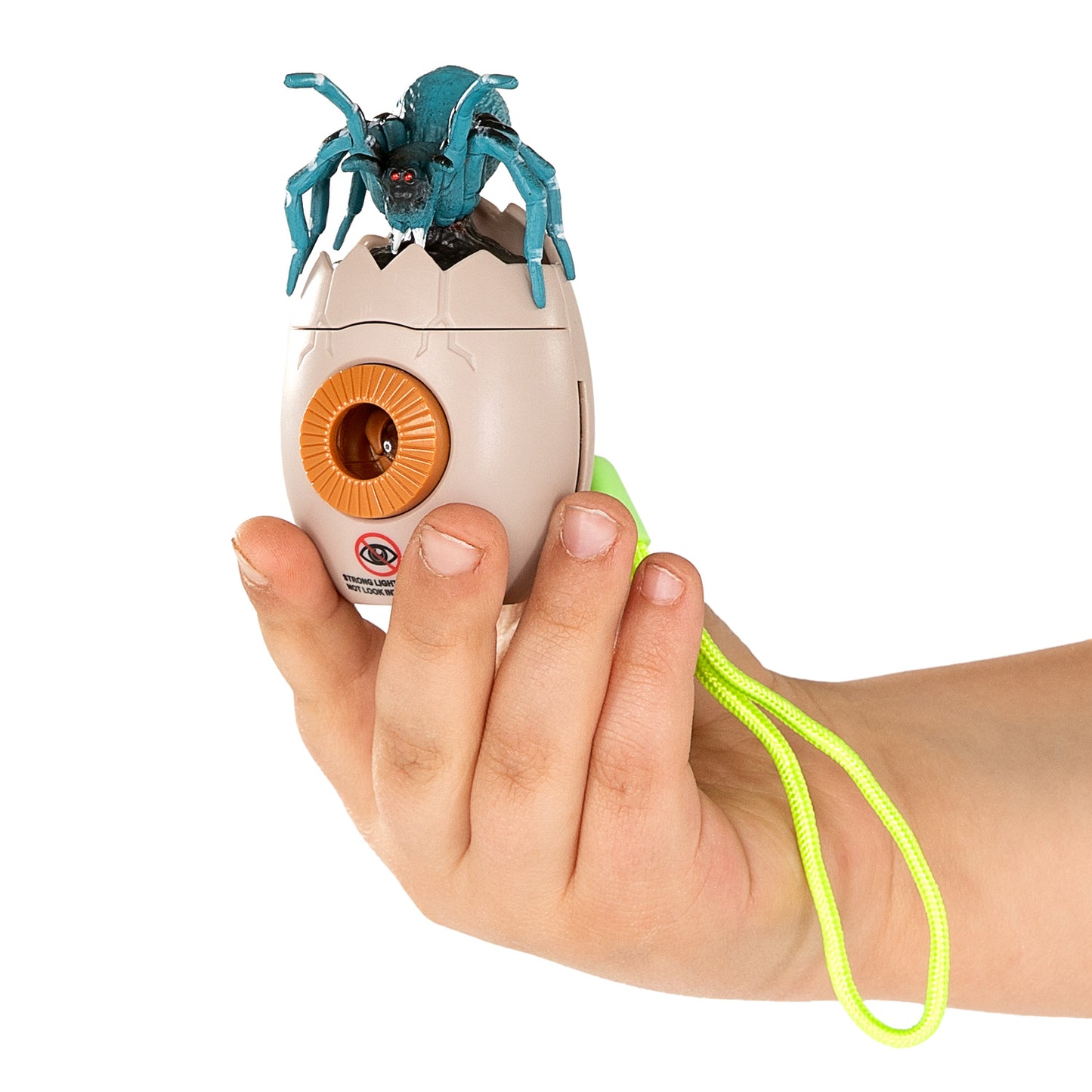 Projecteur d'insectes