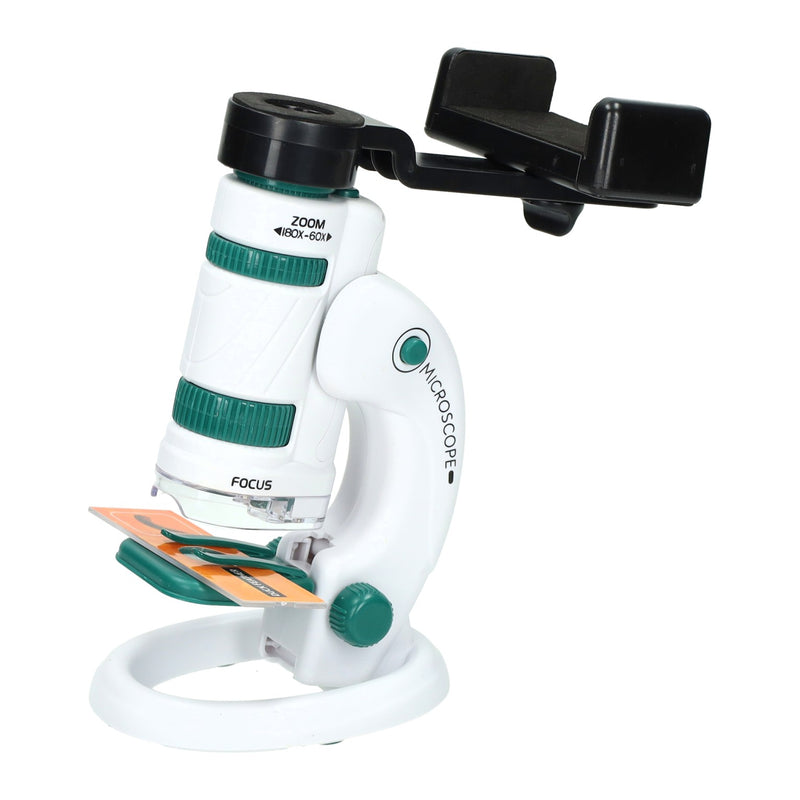 Ensemble de microscope vert
