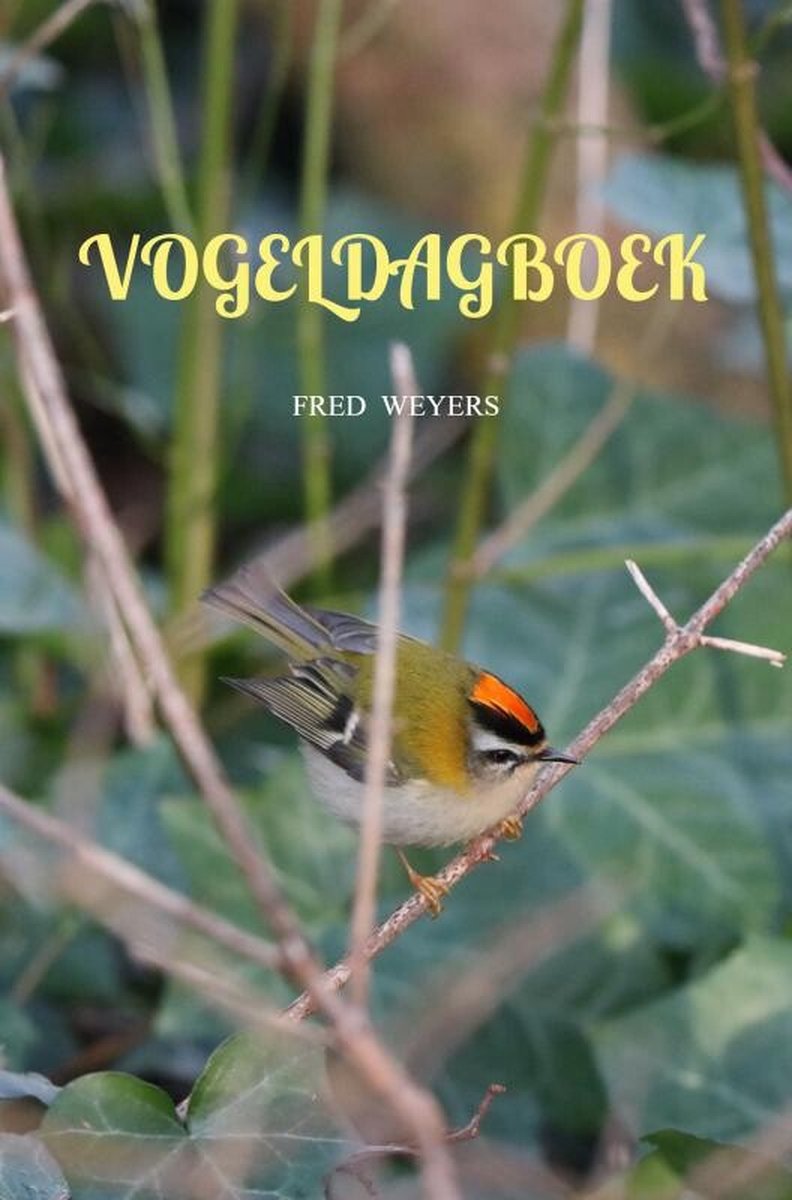 Journal des oiseaux 2024