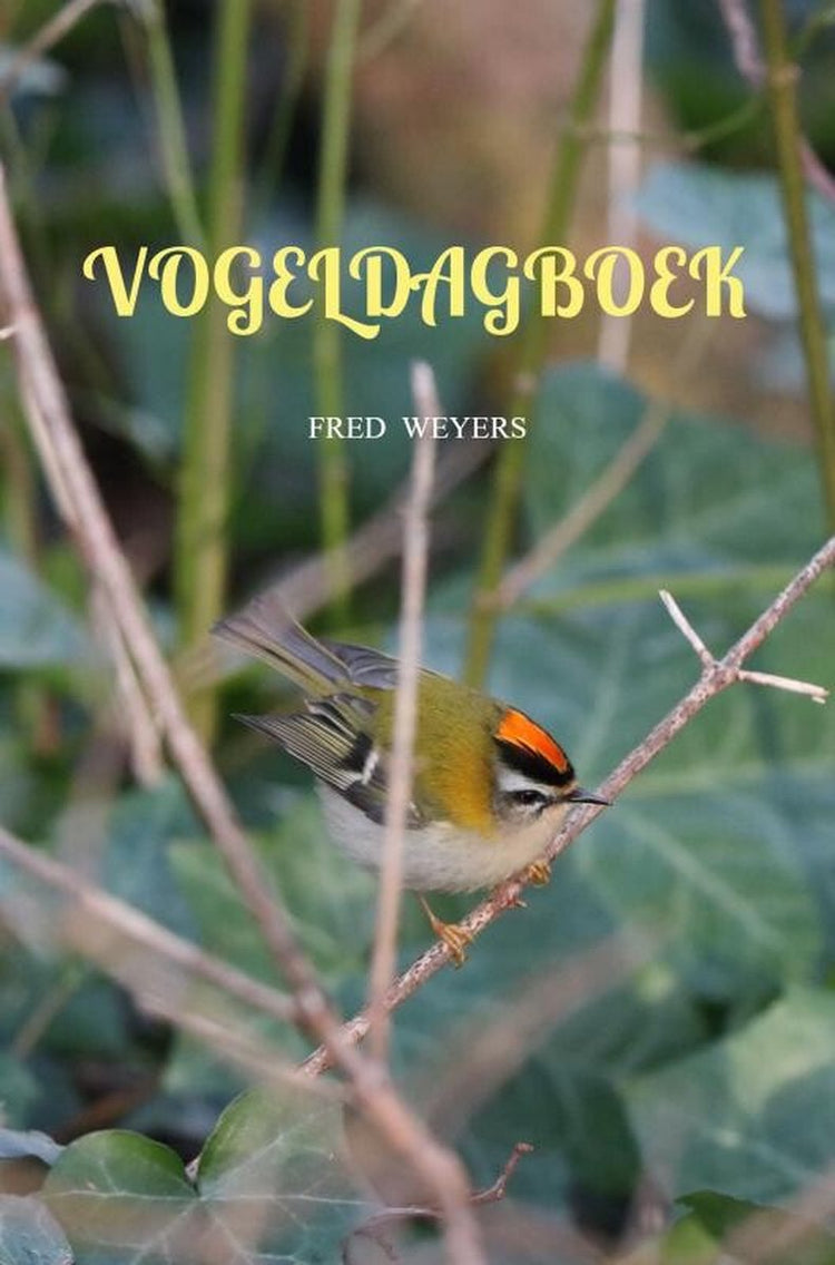 Journal des oiseaux 2024