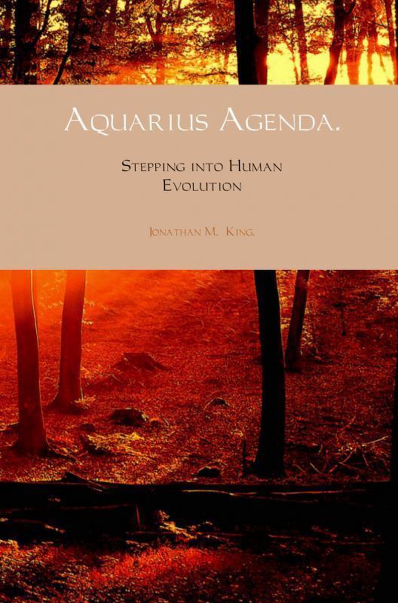 Agenda Verseau sans marque et sans marque