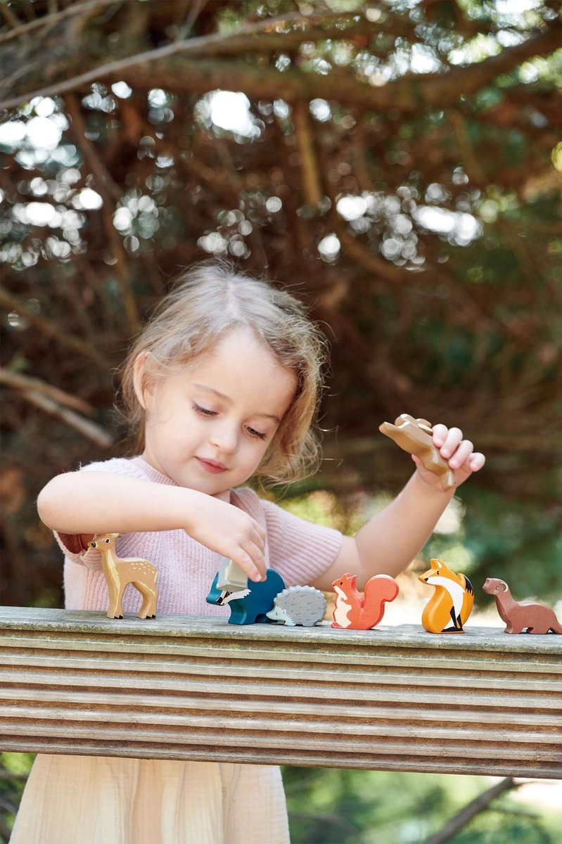 Jouets à feuilles tendres - ensemble d'animaux de la forêt en bois