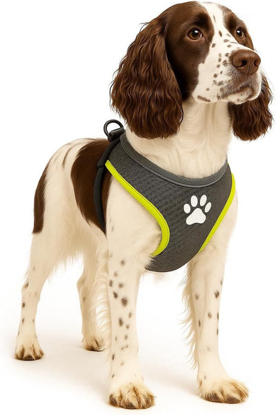 Harnais pour chien Flamingo - harnais pour chien - harnais pour chien anti-traction - harnais pour chien - harnais pour chien anti-traction - step go tasha - gris - taille l - a:58cm l:75-95cm x 20mm x 5mm