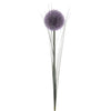 Decoris fleur artificielle allium h66cm violet