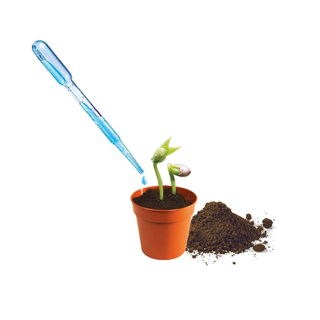 Clementoni Science and Game - Mini Garden de légumes