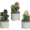 Decoris plante artificielle plante succulente en pot en céramique h14