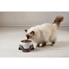 Bama pour animaux de compagnie bac empilable 19x10-13 cm assorti