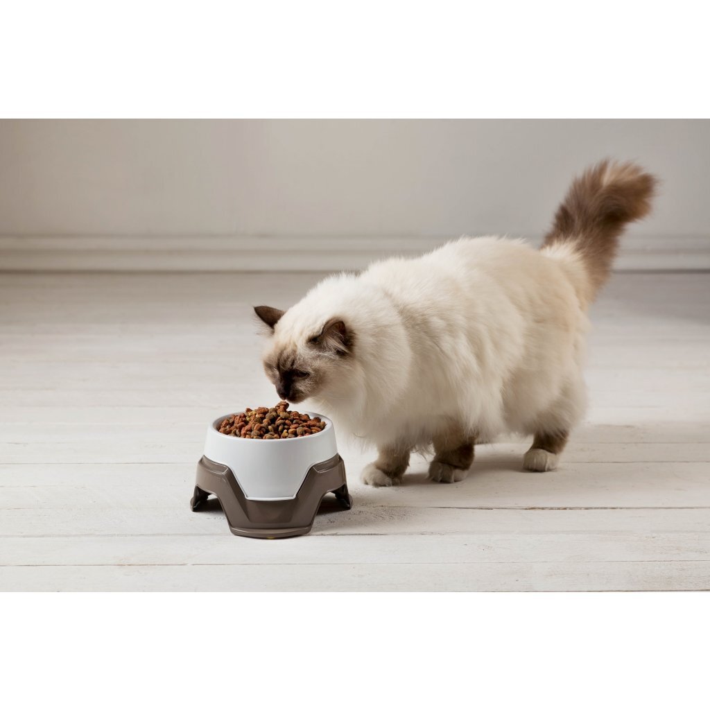 Bama pour animaux de compagnie bac empilable 19x10-13 cm assorti