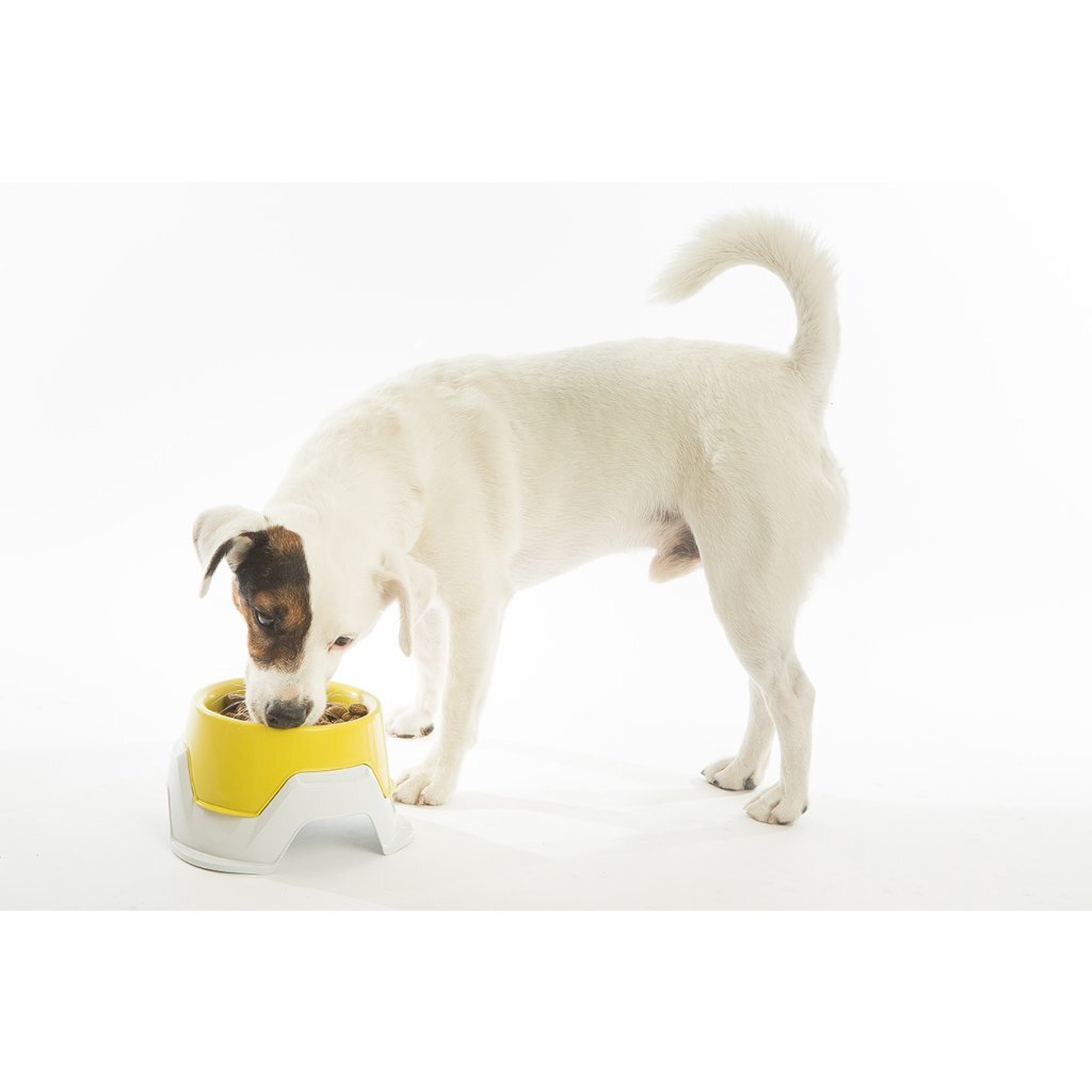 Bama pour animaux de compagnie bac empilable 19x10-13 cm assorti