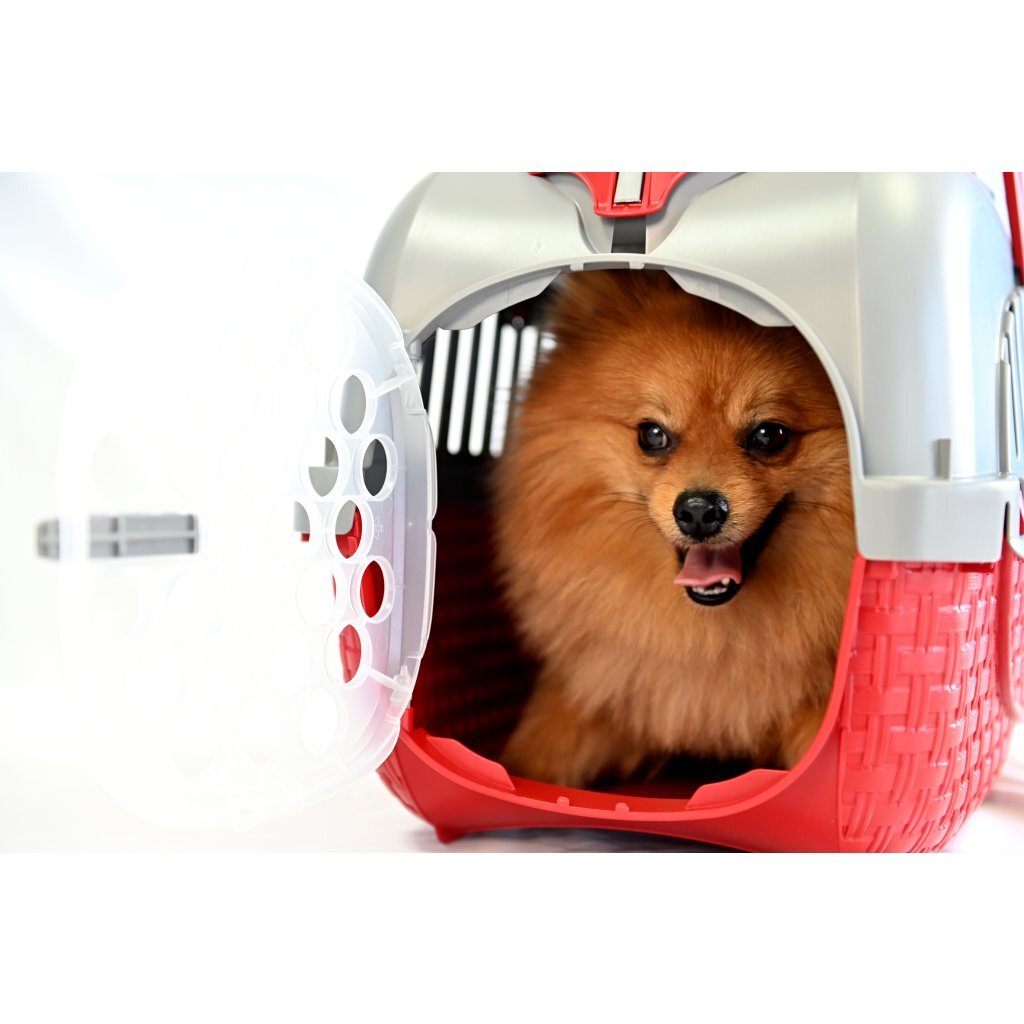 Bama Pet Transportbox 52x33x34 cm argent rouge