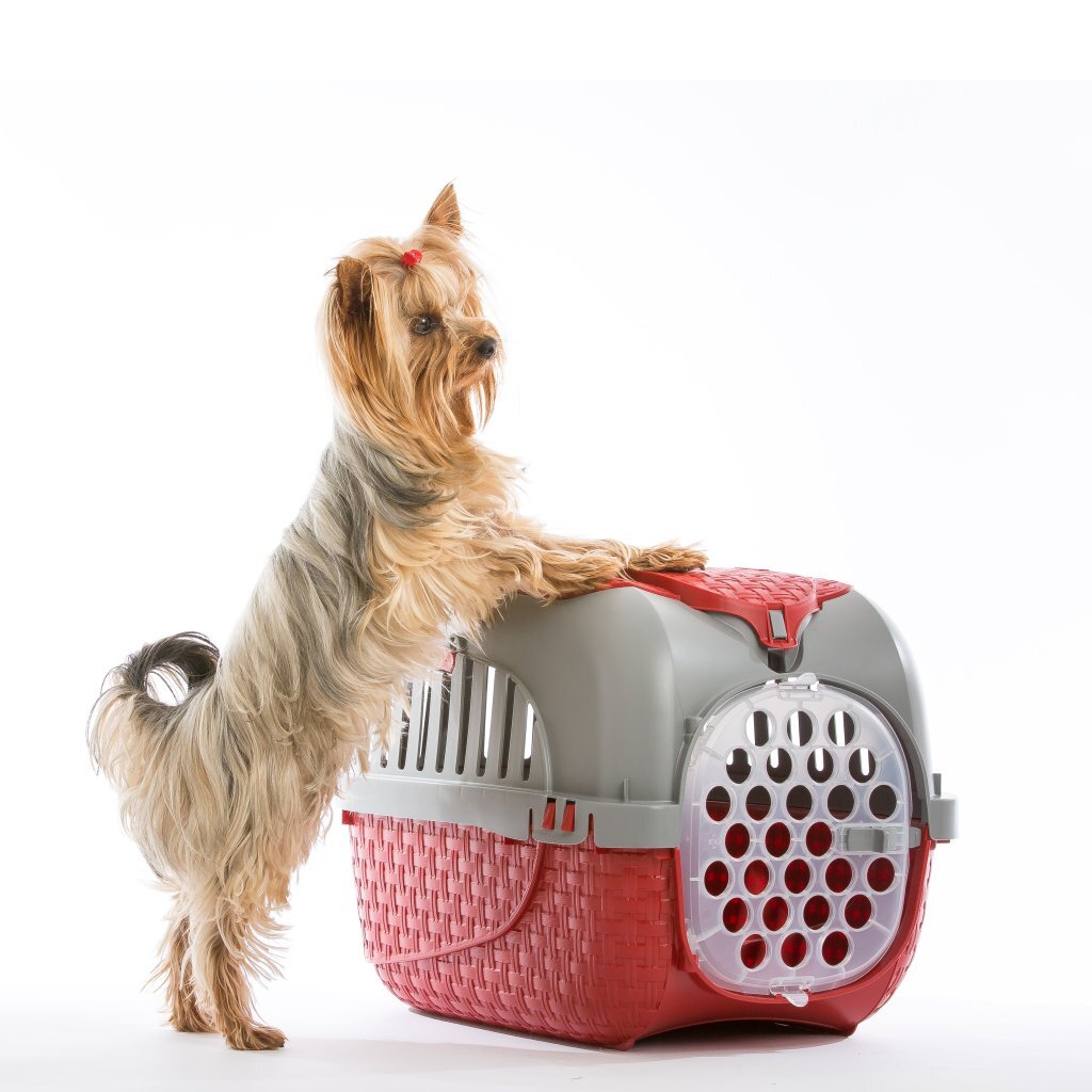 Bama Pet Transportbox 59x38x37 cm argent rouge