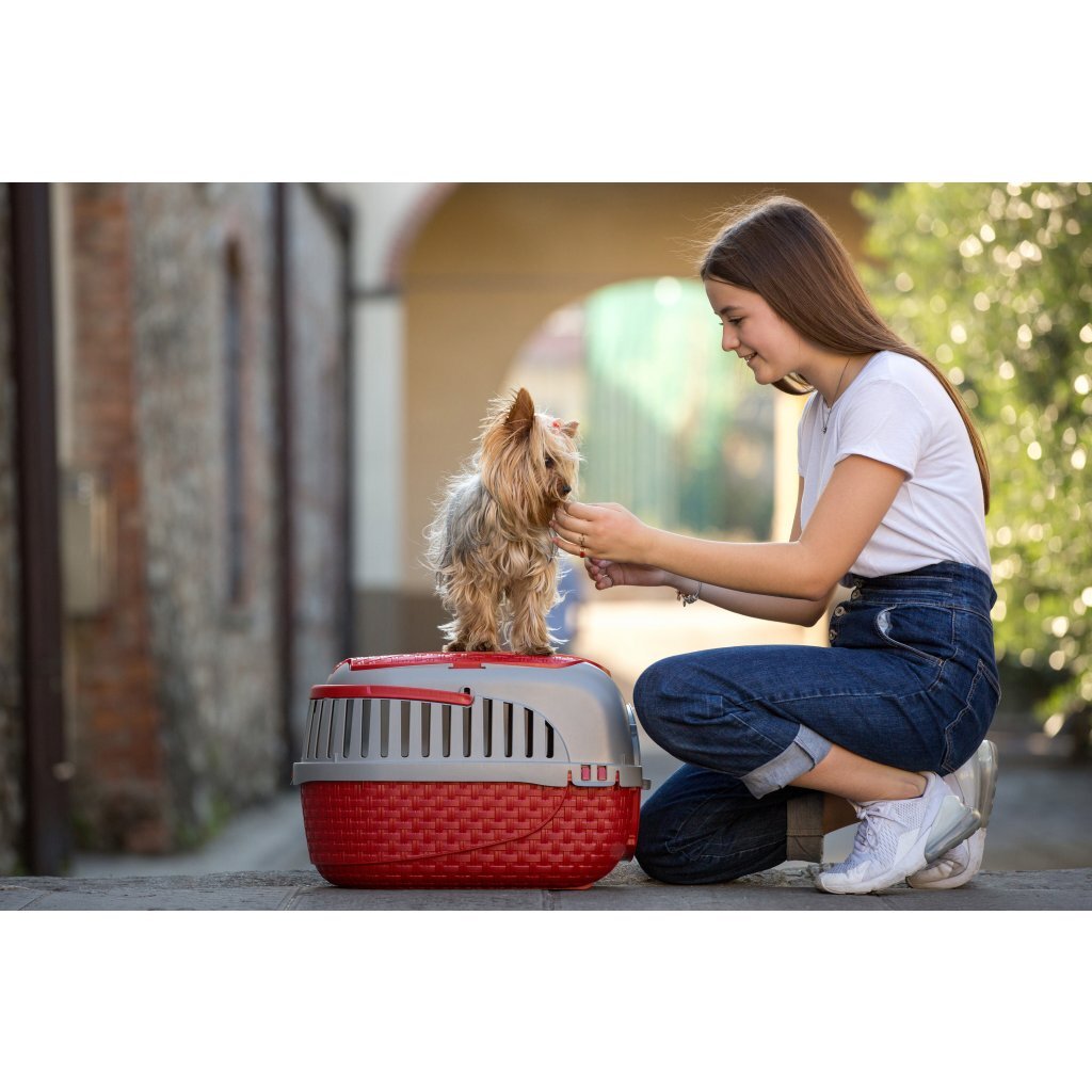 Bama Pet Transportbox 59x38x37 cm argent rouge