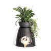BAMA PET PASCHA Animal Panier 52x50x46 55 cm anthracite