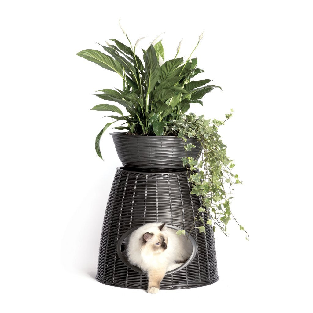 BAMA PET PASCHA Animal Panier 52x50x46 55 cm anthracite