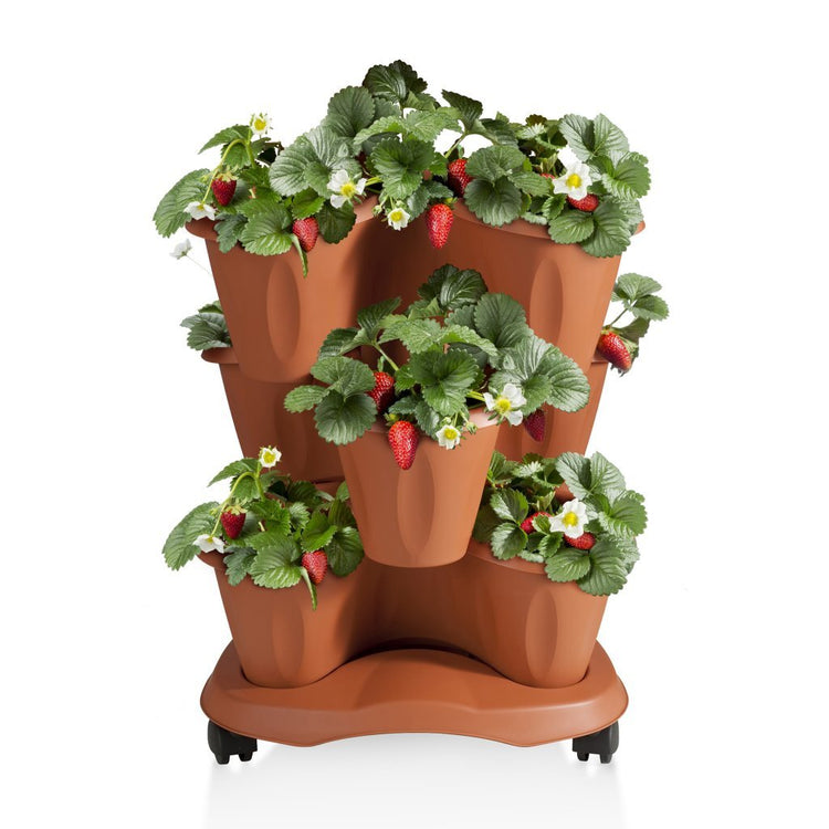 Planteur Bama Trifoglio avec roues 40x51 cm en terre cuite